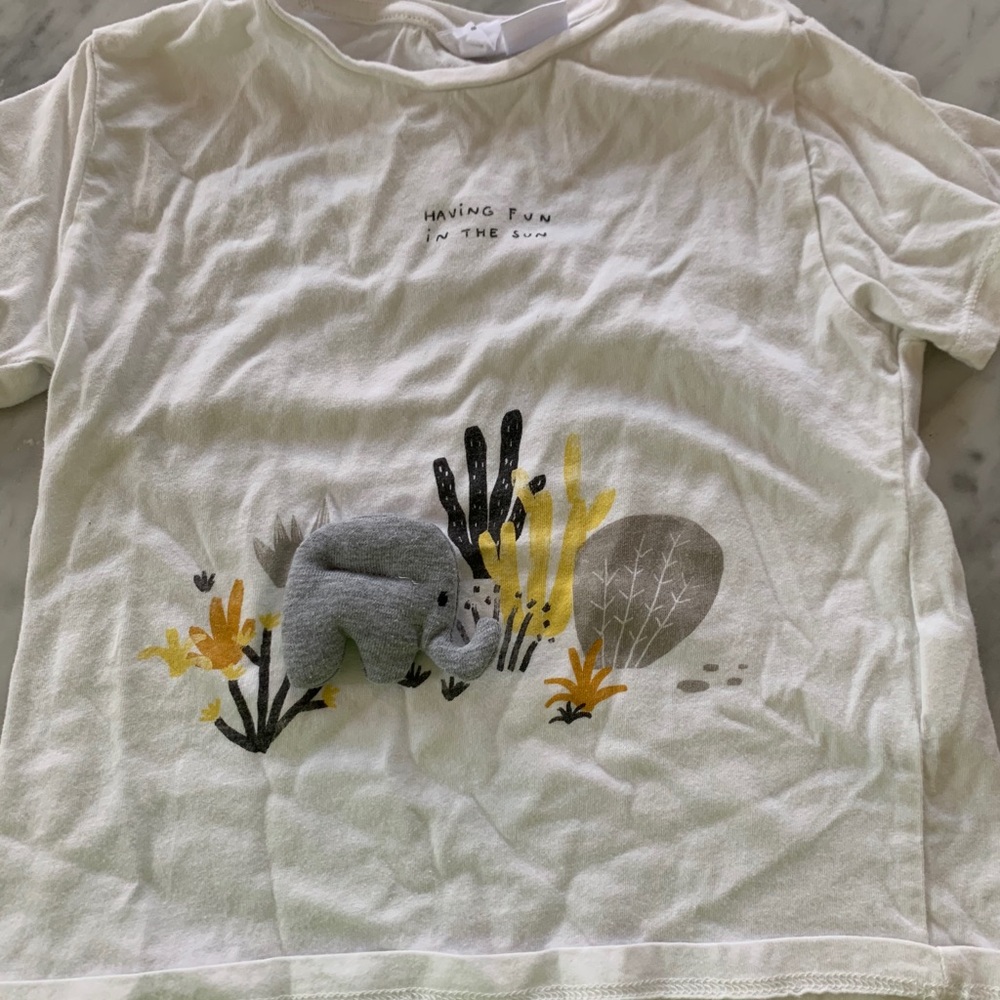 Never been worn Zara Short Sleeve